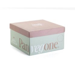 panvegone-classico-800g-1
