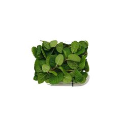 mentavaschettagr30italia