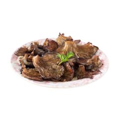 nuovo_progetto_-_2024-01-10t172451