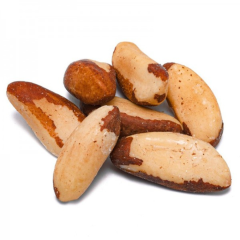 progetto_senza_titolo_1__1